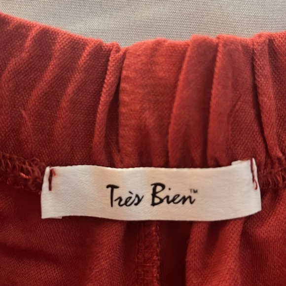 Tres Bien Dress Shorts - Picture 4 of 9